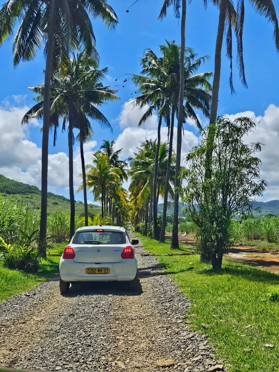 Suzuki Swift 2022 - Sable Cars Mauritius